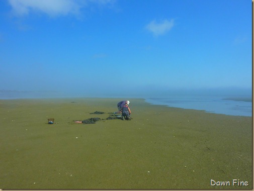 Clamming Birding Dinner_003