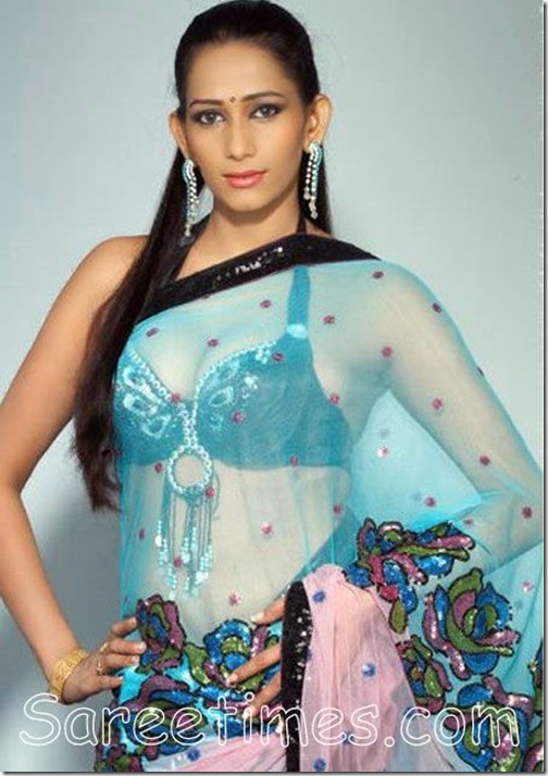 Sanjana_Singh_Shimmer_Saree