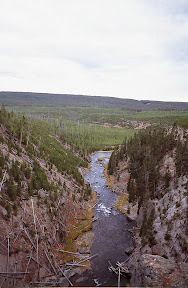 Yellowstone Park Plus 20