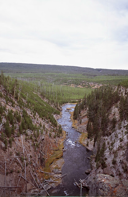 Yellowstone Park Plus 20