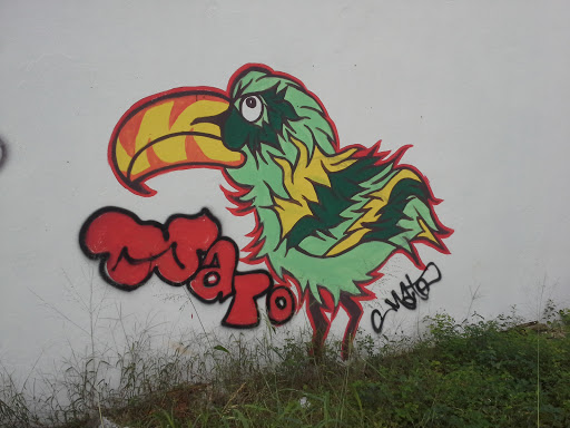 Graffiti Ave Verde