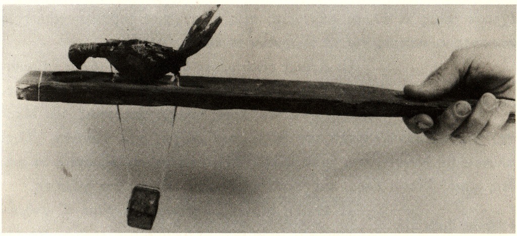 [IMG%255B4%255D.jpg]