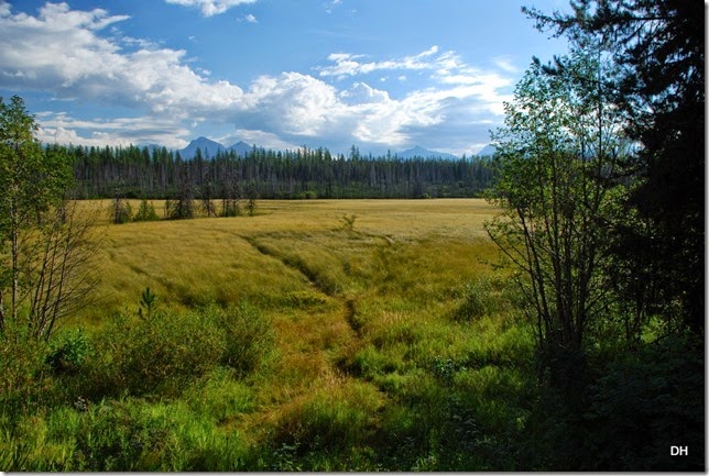 08-28-14 A Camas-Poleridge-North Fork Areas (4)