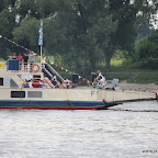 IMG_2519.jpg