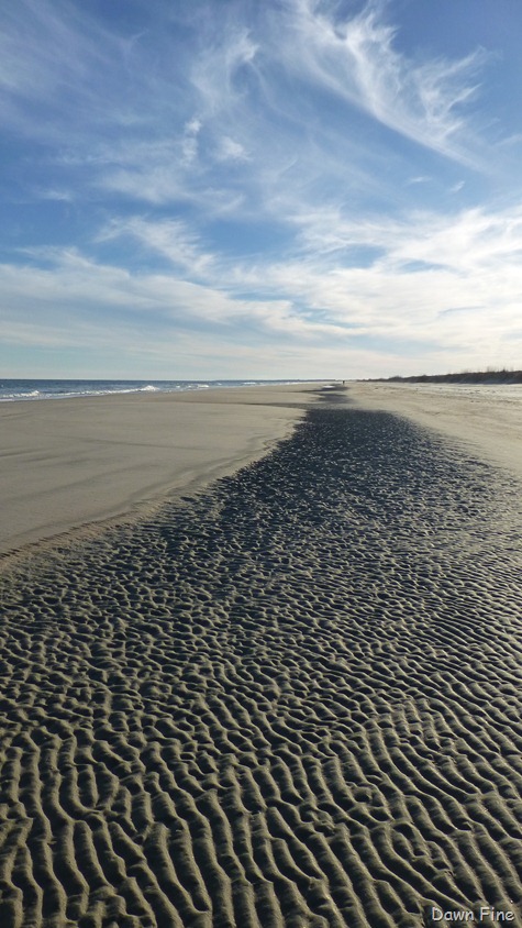 [North-Beach_1233.jpg]