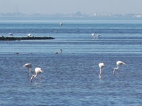 IMG_8541 IMG_8541