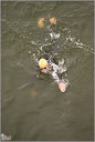 Roth_2010_105.jpg