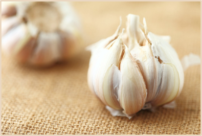 Mild-Hypertension-Garlic, Drugs, or-Cocoa?.png Mild Hypertension Garlic Drugs or Cocoa