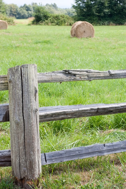 [20130803-IMG_4569%255B3%255D.jpg]