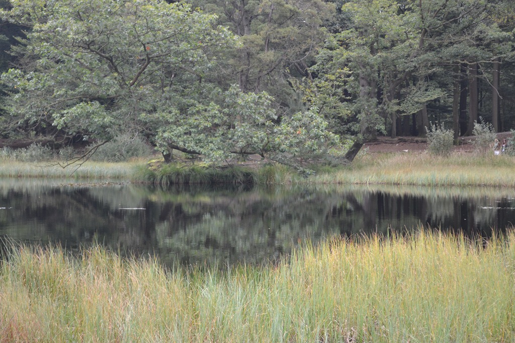 [DSC_0092%255B3%255D.jpg]