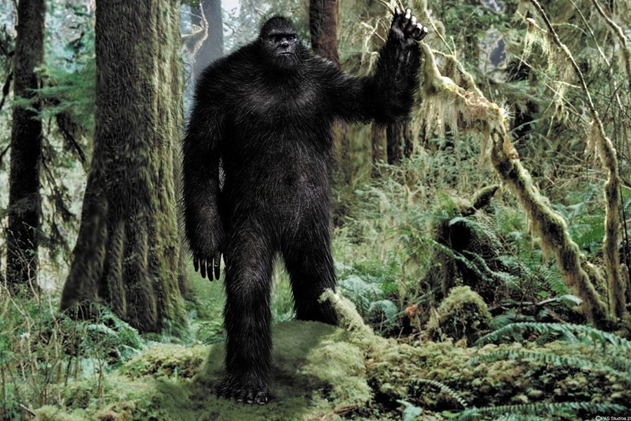 [bigfoot-illustration%255B2%255D.jpg]