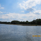 IMG_5549.JPG