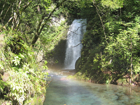 平金大滝