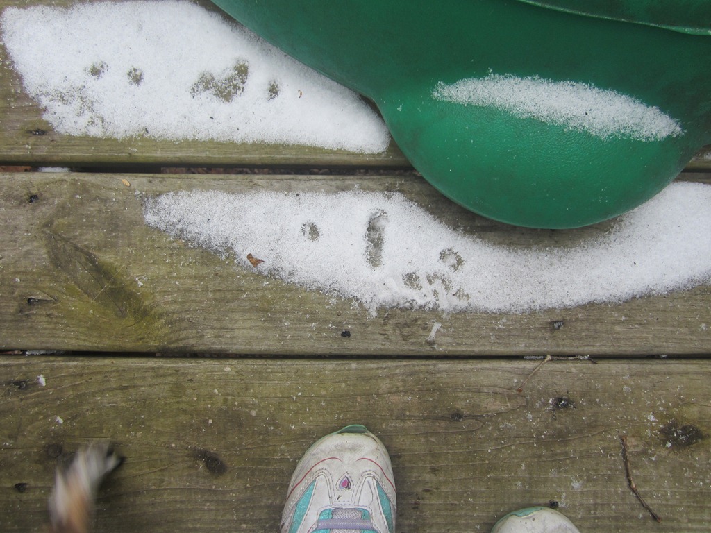 [IMG_0633%255B4%255D.jpg]