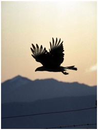 [image%255B7%255D.png]