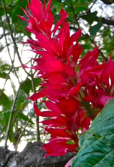 DSCN9850.jpg DSCN9850