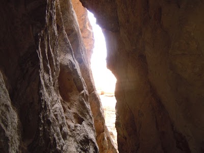DSCN3980.jpg