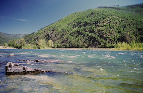 Forest Stewardship - Looking up Jennings Rapids on Northwest Montana's Kootenai River. A wildfire swept over the mountain in the background in the early 1980s, but a beautiful stand of naturally regenerated western large and lodgepole now blankets the scene - a reminder of nature's resiliency. At one time, several thousand people lived in the town of Jennings, on the right hand side of this photograph. The town died out in the early 1900s, replaced by nearby Libby. Trees now grow where buildings once stood.
