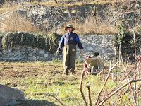 111227 L'Annunciata da Angone 061.JPG Photo