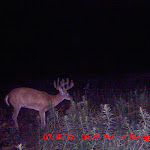 MDGC0259.JPG