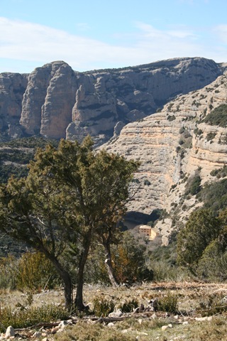 [IMG_7166%255B3%255D.jpg]