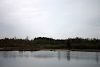 IMG_5037.JPG