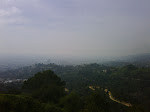 IMG00678-20100130-1211.jpg