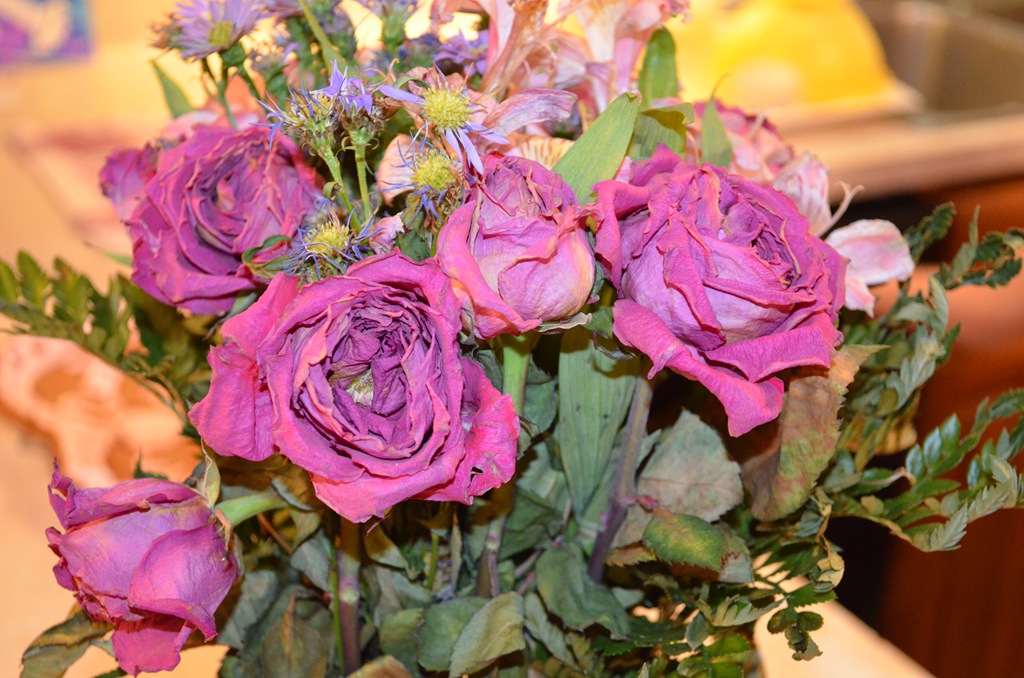 [DSC_0038%255B24%255D.jpg]