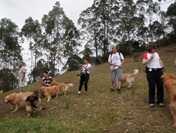 Trekking 2 (63) Trekking 2 (63)