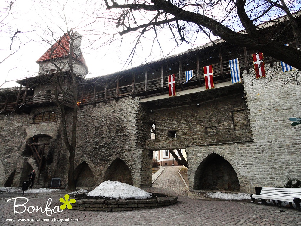 [20110410-160%255B3%255D.jpg]