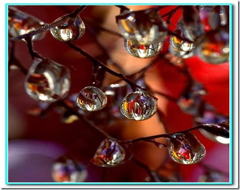 Gota de esperança Gota de esperança