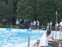 P7050914.JPG