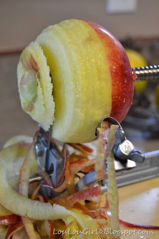 [Homemade-Applesauce-Recipe-53.jpg]