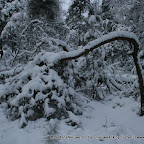 3-1-2010-037.jpg