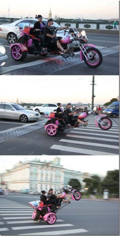 viral-picdump-pics-52