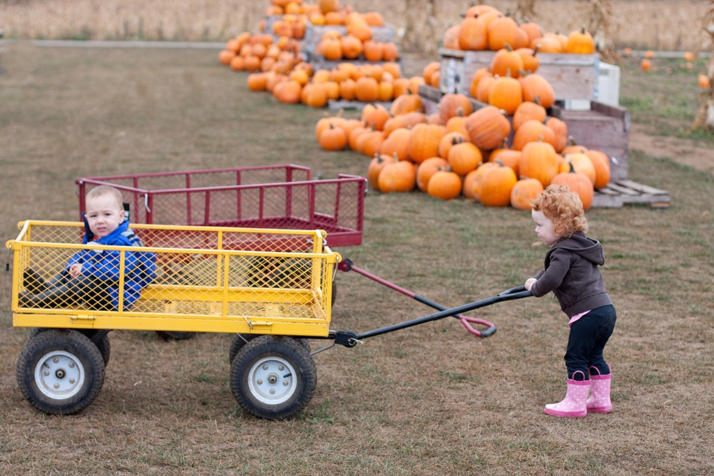 [20121011-IMG_05884.jpg]