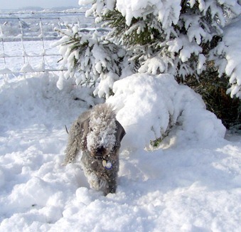 Hurry up it's cold