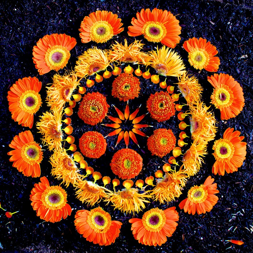 Коллажи из цветочных лепестков (10 фото)