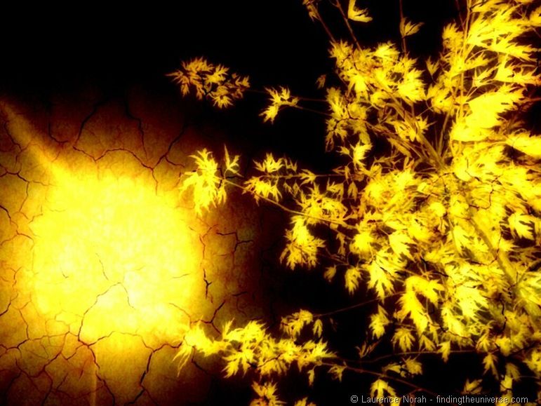 Light of night