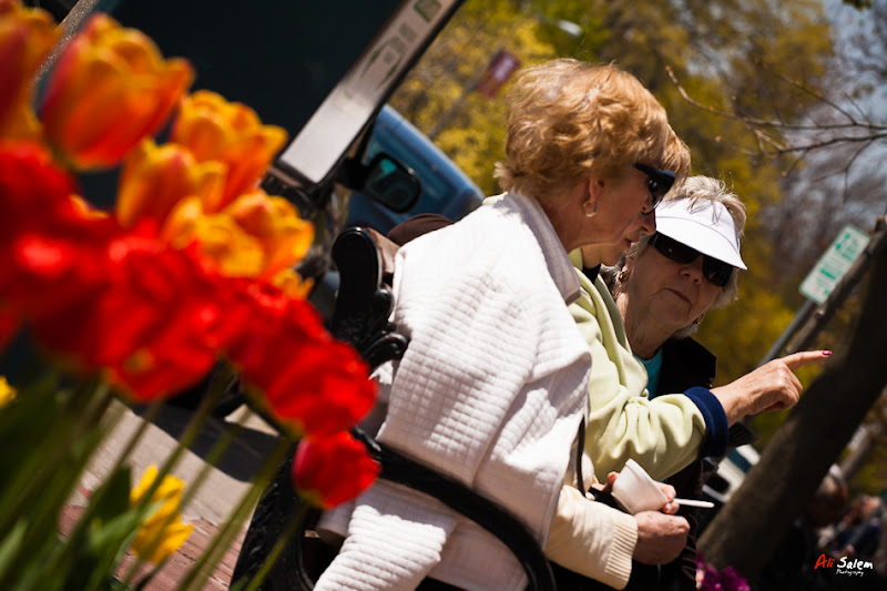 Niagara-on-the-Lake-16.jpg