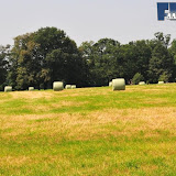 natuur 030.jpg