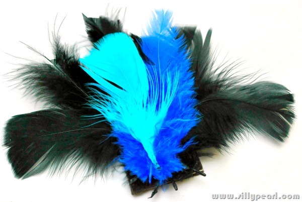 [FeatherBrooch4%255B3%255D.jpg]