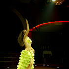 Document Name_3_243.JPG