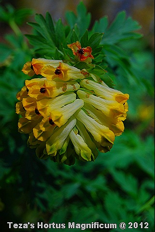 [DSC_0020%255B8%255D.jpg]