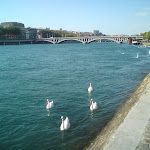 DSC00616.JPG
