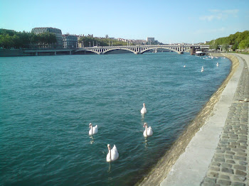 DSC00616.JPG
