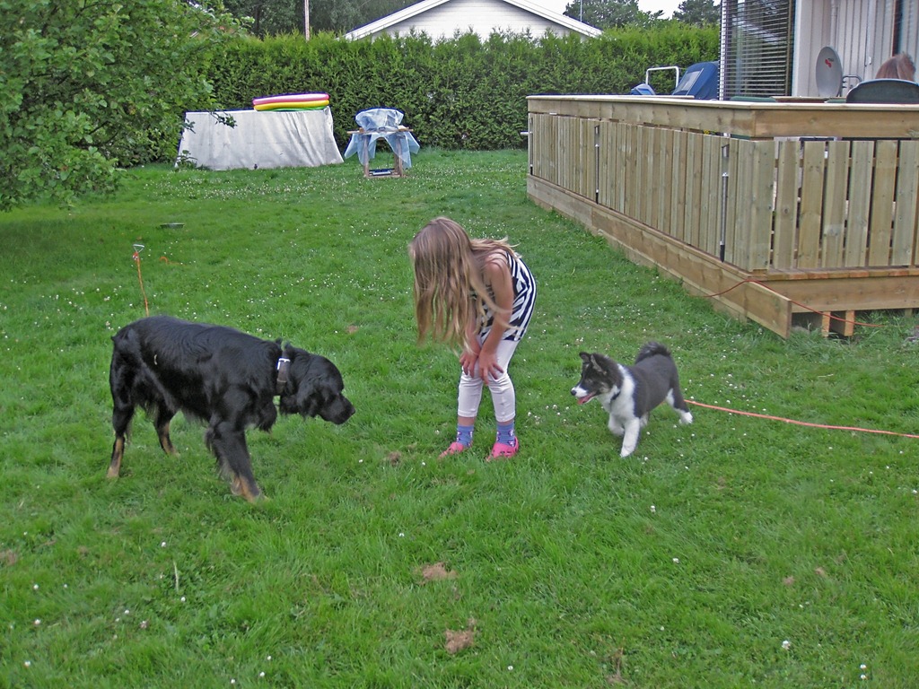 [Glenna%2520igjen_090711_0614%255B4%255D.jpg]
