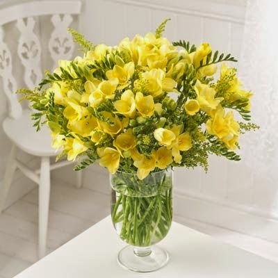 [25%2520Yellow%2520Guernsey%2520Freesias%2520fresh%2520flowers%2520by%2520post%2520with%2520free%2520delivery%255B4%255D.jpg]