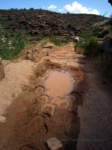 [GrandCanyon-2%255B3%255D.jpg]