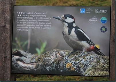 21-woodpecker-sign